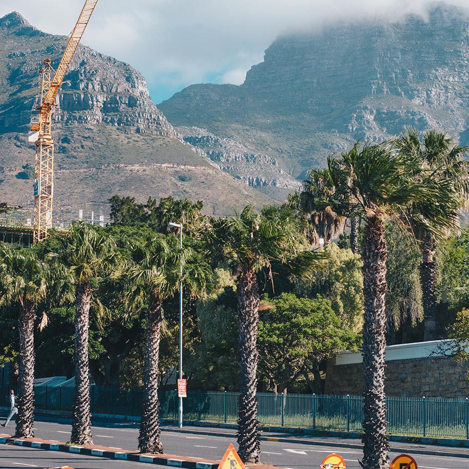 Ollie Cape Town